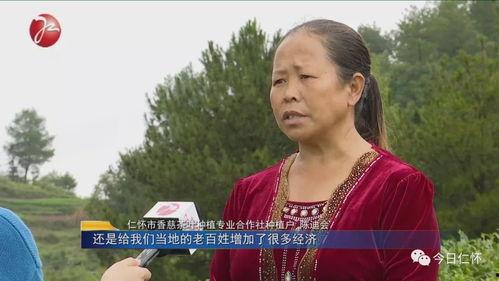 王晓娟照片,镜头下的美丽瞬间