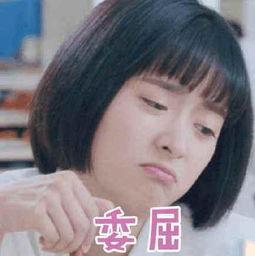 沈月发文表情包,笑出腹肌！