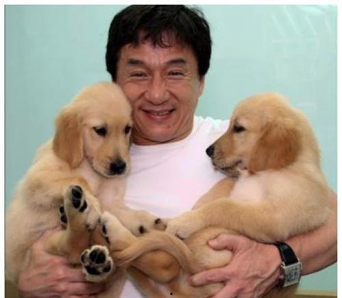 养狗明星,揭秘养宠界的明星风采